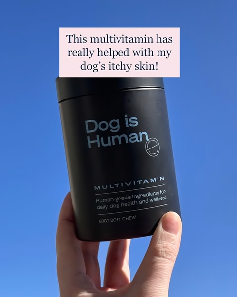 A close-up, hand-held shot of a dog multivitamin container held against a bright blue sky with a text-overlay testimonial about skin health.
